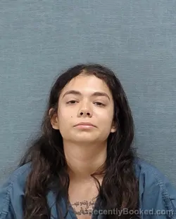 Mugshot of Angelica Ysabel Cobleigh booked in Stark County, Ohio on August 12, 2026