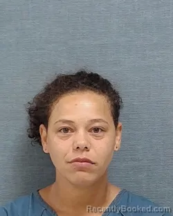 Mugshot of Bobbie Ann Palmer booked in Stark County, Ohio on July 25, 2026
