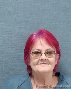 Mugshot of Cheryl Ann Wallace booked in Stark County, Ohio on September 20, 2026