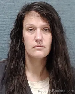 Mugshot of Beth Ann Ison booked in Stark County, Ohio on September 22, 2026