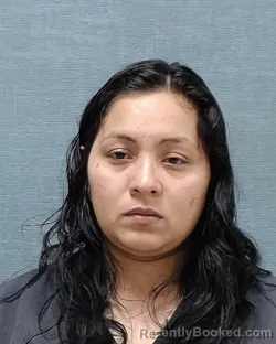 Mugshot of Rosa Ramos booked in Stark County, Ohio on September 29, 2026