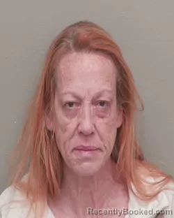 Mugshot of Gail Marie English booked in Wakulla County, Florida on October 20, 2026