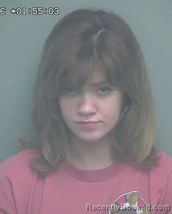 Mugshot of SKYLAR MCKENZIE LAING
