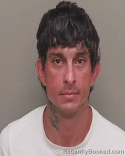 Mugshot of JOSEPH ALEJANDRO BRITO booked in Wakulla County, Florida on July 30, 2026