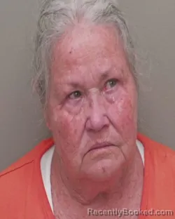 Mugshot of DEBORAH REGINA RIGGLE booked in Wakulla County, Florida on June 20, 2026