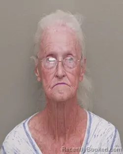Mugshot of GLYNDAL VIRGINIA MISPEL booked in Wakulla County, Florida on July 14, 2026