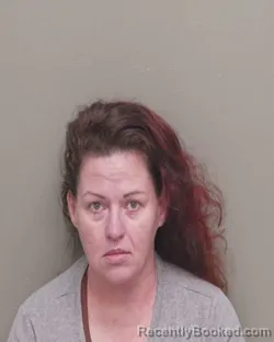 Mugshot of HEATHER CHRISTINE WILSON