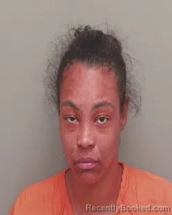 Mugshot of ASHLEY NICOLE GAMBLE booked in Wakulla County, Florida on July 7, 2026