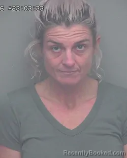 Mugshot of STACIE BRYANNE HORST