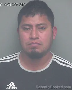 Mugshot of MARTIN LUIS VASQUEZ