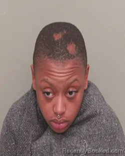 Mugshot of DIAMOND MONIQUIE PINKNEY