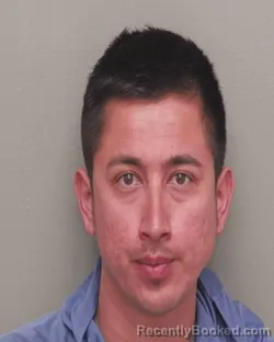 Mugshot of NELSON ANTONIO HERRERA PORTILLO