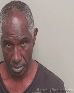 Mugshot of MARK WILSON