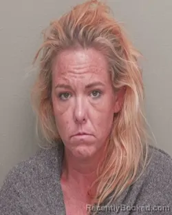Mugshot of SARA ANN DABNEY booked in Wakulla County, Florida on June 11, 2026