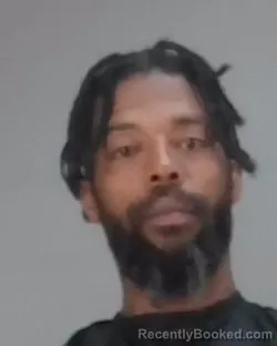 Mugshot of LAMONT RAY BROWN booked in Summit County, Ohio on March 11, 2026