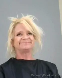 Mugshot of JENNIFER ANNE HENCH