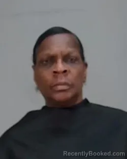 Mugshot of SALLY ANN MARSH booked in Summit County, Ohio on March 15, 2026