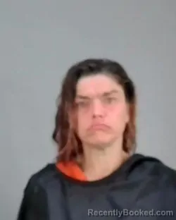 Mugshot of RENEE LYNN OWENS booked in Summit County, Ohio on April 4, 2026