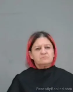 Mugshot of MARIA SOTIRIOS GEORGAKOPOULOS booked in Summit County, Ohio on March 22, 2026