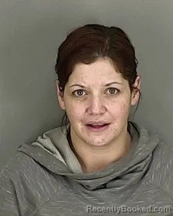 Mugshot of SARAH LYNN WILSON booked in Summit County, Ohio on April 27, 2026