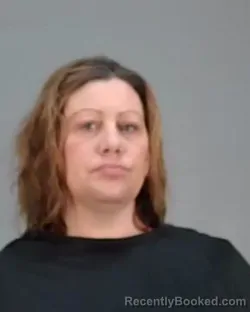 Mugshot of STACY LYNN AMBROSE booked in Summit County, Ohio on March 15, 2026