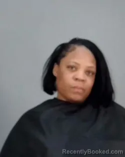 Mugshot of BARBARA ANN JENAE LEWIS booked in Summit County, Ohio on March 31, 2026