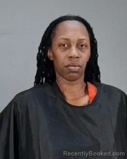 Mugshot of DEIDRE C LOTT booked in Summit County, Ohio on April 28, 2026