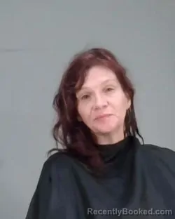 Booking photo from Summit County, Ohio