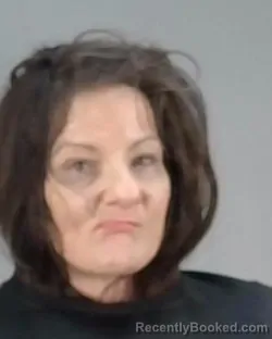 Mugshot of JOY CASSANDRA MCPHERRAN booked in Summit County, Ohio on March 12, 2026