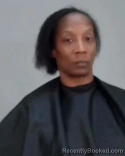 Mugshot of KEVELYN JOSETTE EVANS booked in Summit County, Ohio on March 28, 2026