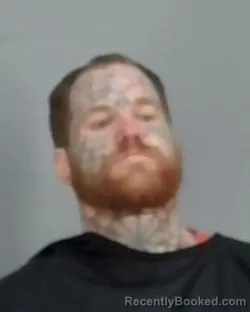 Mugshot of MICKAL D DYE