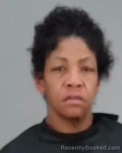 Mugshot of LATOY DANIELLE SHEPPARD booked in Summit County, Ohio on March 24, 2026