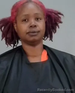 Mugshot of Jessica Ann Vickers booked in Summit County, Ohio on October 21, 2026