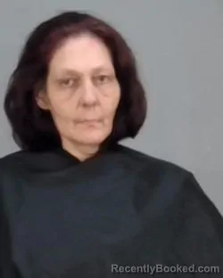 Mugshot of MELISA KAY MCCLAIN booked in Summit County, Ohio on March 6, 2026