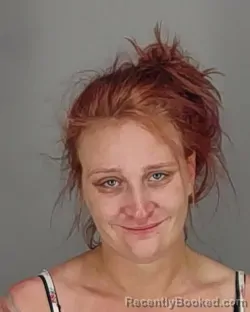 Mugshot of AMANDA LYNN SNYDER booked in Summit County, Ohio on April 3, 2026