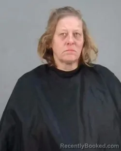 Mugshot of LORI L LEES