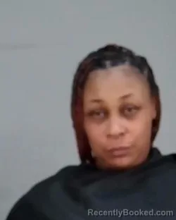 Mugshot of SHANA RENEE CLARK booked in Summit County, Ohio on March 26, 2026