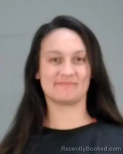 Mugshot of JESSI JEAN BROWN booked in Summit County, Ohio on March 31, 2026