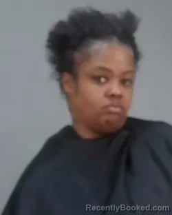 Mugshot of Chequice Monique Jones booked in Summit County, Ohio on August 1, 2026