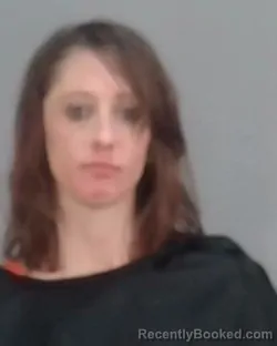 Mugshot of BRITNEY ROSE CROFT booked in Summit County, Ohio on March 30, 2026