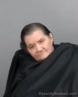 Mugshot of DEBRA FAYARD booked in Summit County, Ohio on March 17, 2026