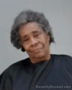 Mugshot of SANDRA ANDREA JONES booked in Summit County, Ohio on April 3, 2026