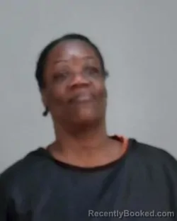 Mugshot of SYLVIA A PHILLIPS booked in Summit County, Ohio on March 27, 2026