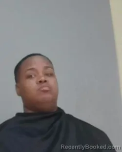 Mugshot of QUARNISHA L ROBINSON