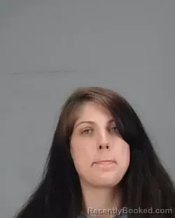 Mugshot of SANTINA L SEYBERT booked in Summit County, Ohio on March 29, 2026