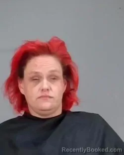 Mugshot of ASHLEY SUE EVANS