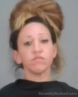 Mugshot of ELIZABETH ANN CHESNES booked in Summit County, Ohio on March 12, 2026