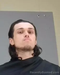 Mugshot of DAVID ALLEN FARREN