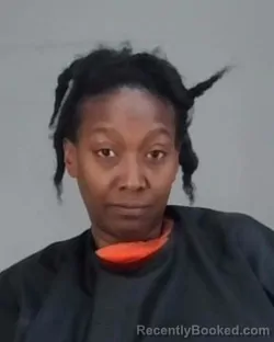 Booking photo from Summit County, Ohio