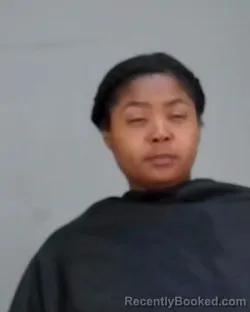 Mugshot of DEONA LEE ROSS booked in Summit County, Ohio on April 2, 2026